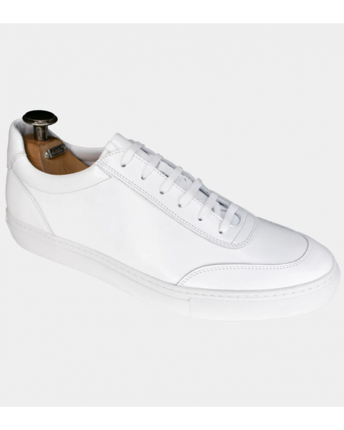DAHLIN AVIERO SNEAKER