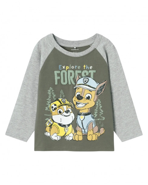 NAME IT SENTE PAW PATROL...