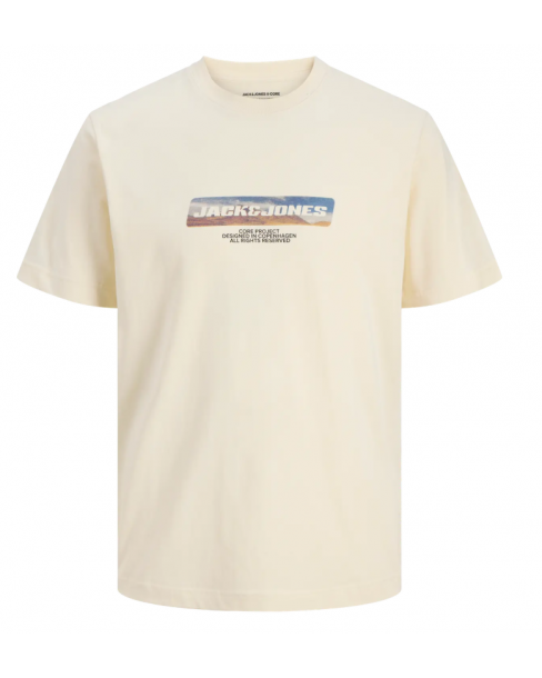 JACK & JONES JCOLIDO TEE SS...