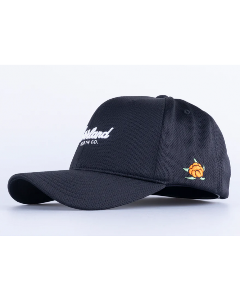 SQRTN TGN SCRIPT SPORT 120... 2
